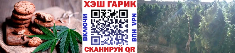 OMG ссылка Ставрополь Печенье с ТГК марихуана