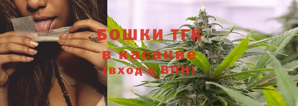 дживик Баксан