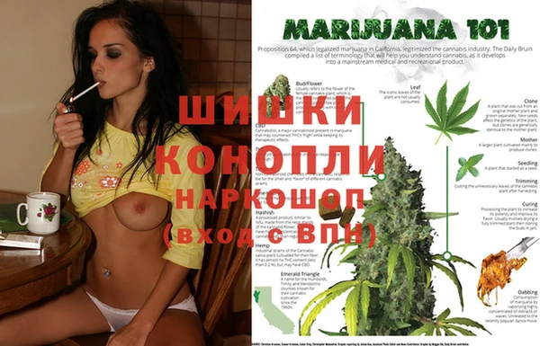 Альфа ПВП Балахна