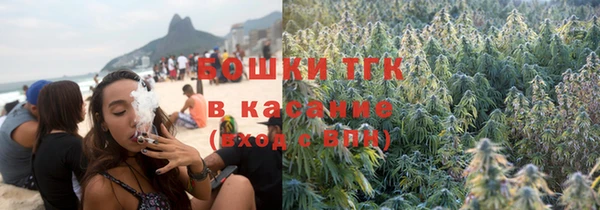 шишки Михайлов