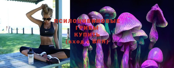 дмт Аркадак