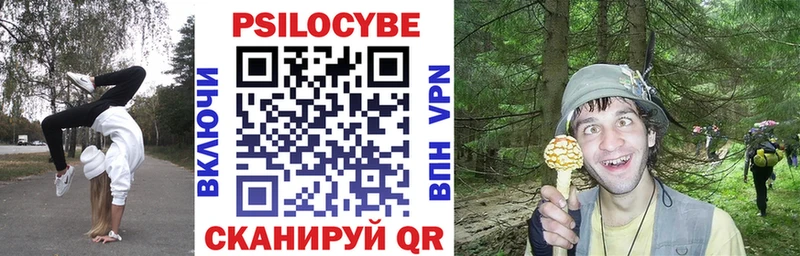 гидра как зайти  Ставрополь  Галлюциногенные грибы прущие грибы 